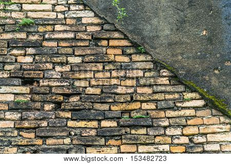 plaster has cracked to reveal a worn brick wall that covered with moss and vegetation growing out of it street wall background texture .