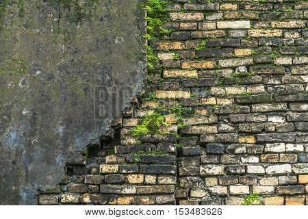 plaster has cracked to reveal a worn brick wall that covered with moss and vegetation growing out of it street wall background texture .
