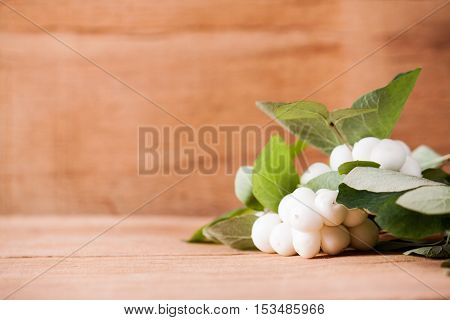 White snowberries on wooden background. Nature background