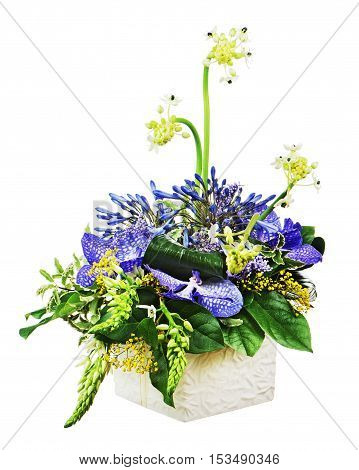 Bouquet from orchids and Arabian Star flower in vase isolated on white background. Closeup.