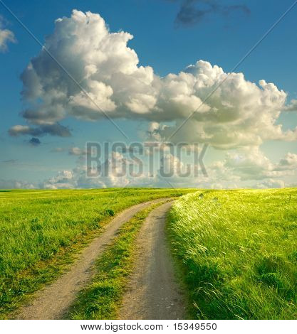 夏天风景与绿草、 路和云