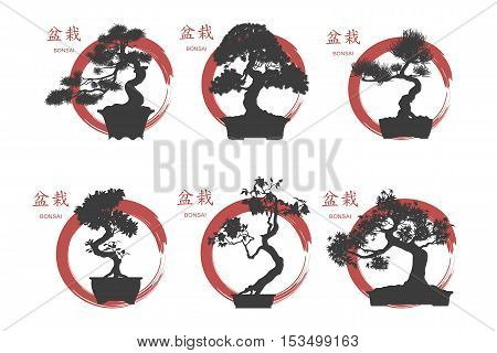 Bonsai set. Black silhouette of a bonsai on a white background. Detailed image. Vector illustration