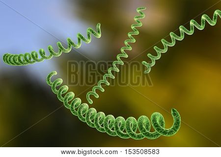 Treponema pallidum on colorful background, bacterium which causes syphilis, sexually transmitted bacterium, close-up view. 3D illustration