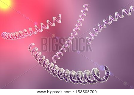 Treponema pallidum on colorful background, bacterium which causes syphilis, sexually transmitted bacterium, close-up view. 3D illustration