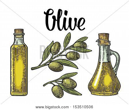 Bottle glass of Olive oil with cork stopper and branch with leaves. Hand drawn design element. Vintage color vector engraving illustration for logotype poster web. Isolated on white background.