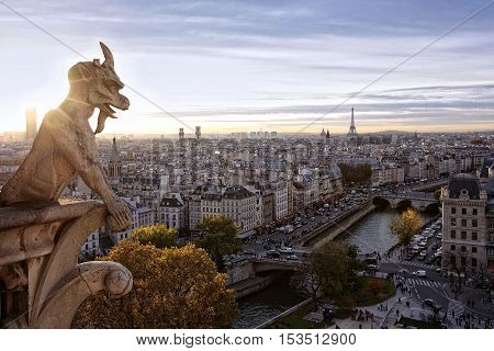 View on Paris, France from Notre Dame de Paris, 04. 11. 2011 Editorial use only