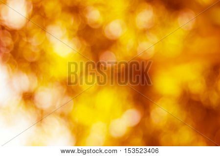 Blurred nature background.Backdrop with color and bright sun light. Summer holidays concept.bokeh background or Christmas background.Green Energy.