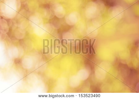 Blurred nature background.Backdrop with color and bright sun light. Summer holidays concept.bokeh background or Christmas background.Green Energy.
