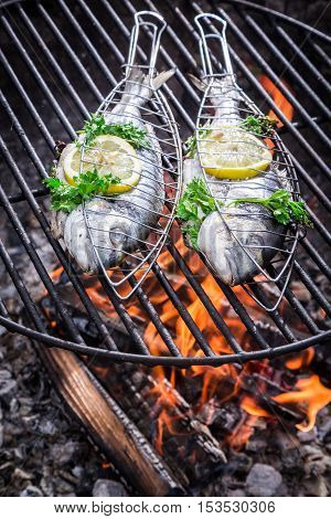 Tasty Fish With Herbs And Lemon For Grilling
