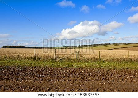 Straw Stubble And Wooden Fence