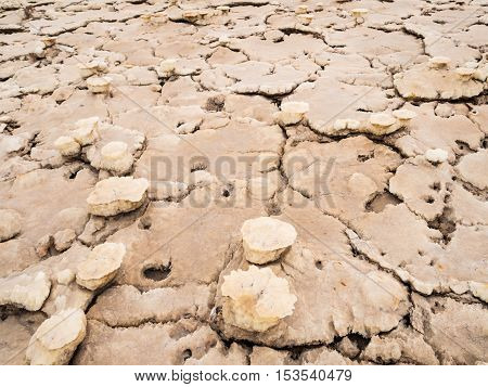 Close up photo of mineral formations on the sulphur lake Dallol in a volcanic explosion crater in the Danakil Depression northeast of the Erta Ale Range in Ethiopia.