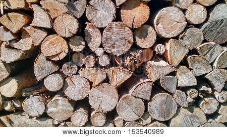 A closeup of wood logs texture as background