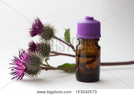 bottle with вurdock (castor agrimony) оil agrimony branch