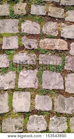 Old cobblestone footpath with grass growing in between
