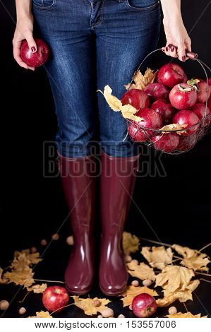 Autumn season concept. The girl in blue jeans and rubber boots (the color Marsala) holding a basket of apples.