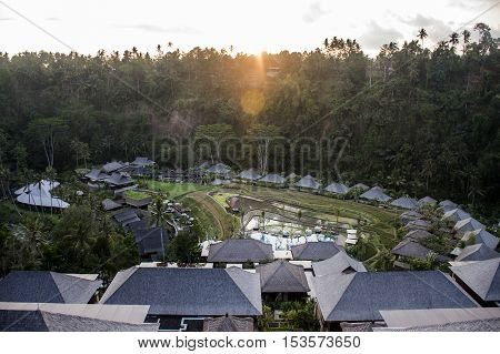 sunset over a village in the Jungle of Ubud in Bali Indonesia Mandapa