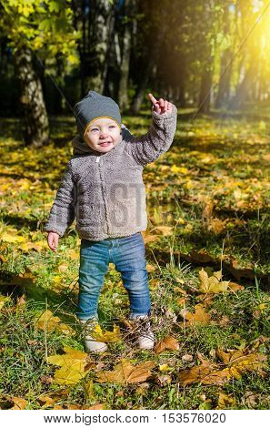Cute little boy enjoying autumn nature. Cheerful baby boy having fun outdoors. Kid in fall forest. Child play with dry orange maple leaves. Toddler kid under a maple tree on a sunny October day.