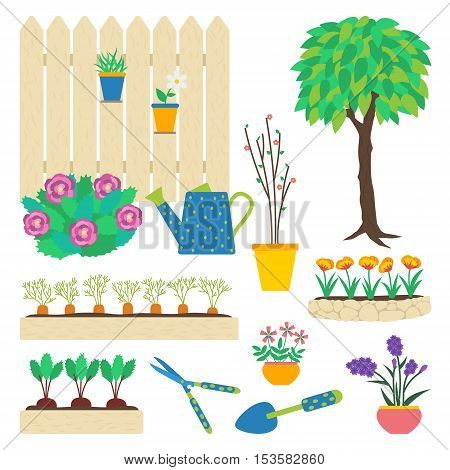 Vector set of garden elements. Flowers in pots flowerbed tree vegetable patch beetroot carrot garden tools trowel hedge shears peony bush watering can seedling