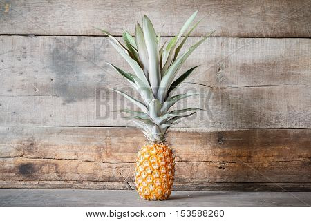 single ripe pineapple on wooden background with copyspace