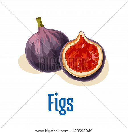 Fresh figs whole and half cut emblem. Vector color isolated elements of tasty exotic fig fruit. Design element for juice, jam sticker label, snack package design