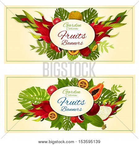Garden fresh fruits banners. Vector design of tropical exotic fruits in bunch of jungle palm leaves and plants. Orange, lychee, mango, dragon fruit, papaya, avocado, grapefruit, feijoa