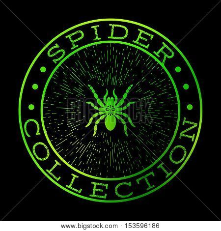 Spider collection green label design on the black background, vector symbol