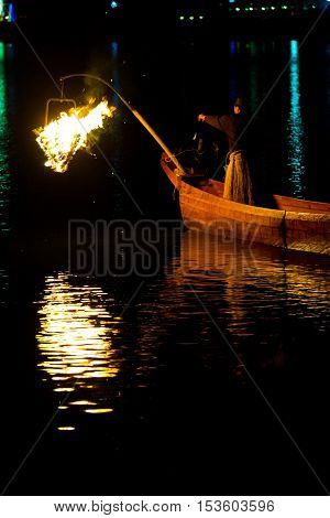 Ukai Cormorant Night Fishing Bird Firelight Gifu