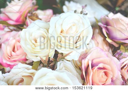 white and pink flowers vintage,focus on flowers and blurred background.