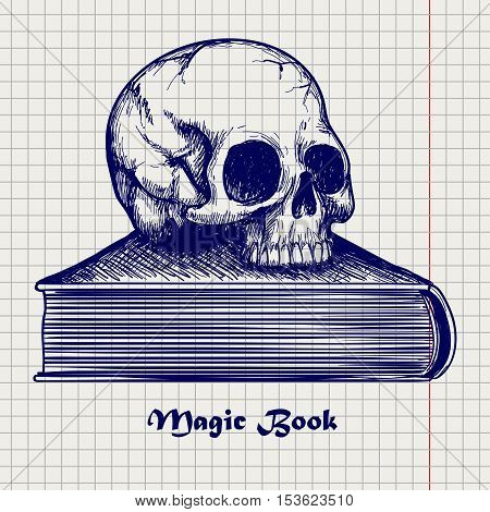 Ball pen sketch of human skull on book on notebook background. Vector illustration