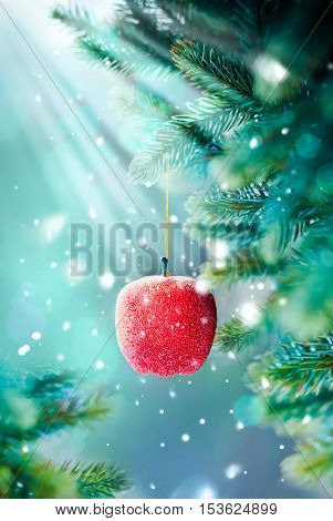Christmas Card With Red Apple On The Branch