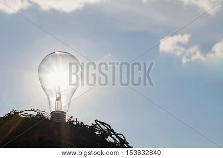 light bulb with sunshine power concept and blue sky background