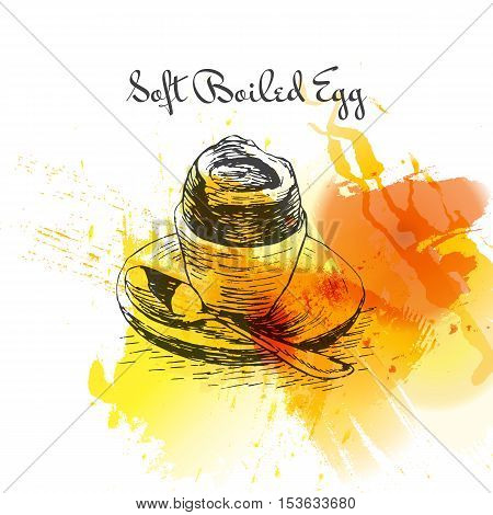 Soft boiled egg colorful watercolor effect illustration. Vector illustration of breakfast.