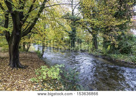 Beautiful River Wuerm With Green Trees In Munich