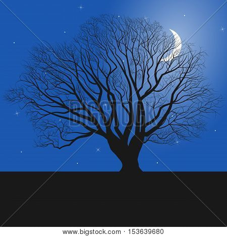 tree silhouette and night, vector eps 10