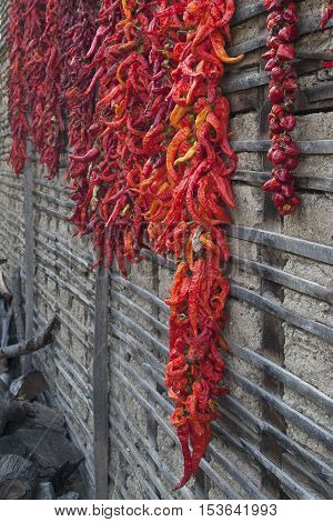 Red hot chili peppers on the wall