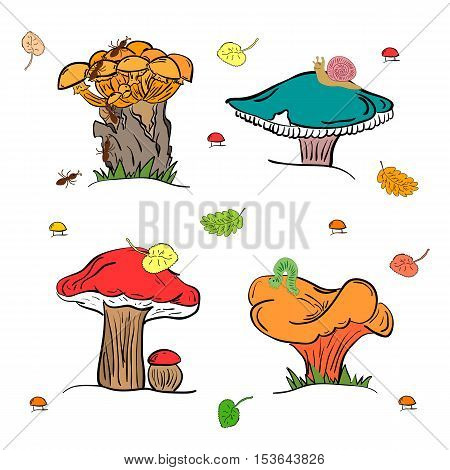 Set of Colorful Hand Drawn Cute Mushrooms, Caterpillar, Snail, Ant and Falling Leaves. Autumn Doodle Style Mushrooms Isolated on White. Perfect Design for Children. Vector Illustration.