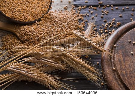 Bread baking background. Grain and ears scattered around on rustic wood near round wooden desk. Agricultural wheat harvest, bread making composition