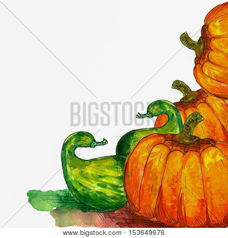 square watercolor painting of pumpkins on white background