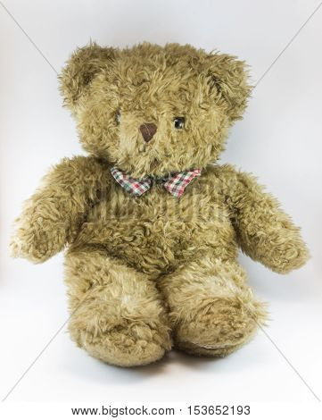 Cute Hairy Teddy Bear with white background