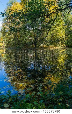 Golden autumn, a walk in the Park, the reflection in the pond.