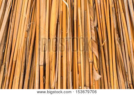 background of dried reeds closeup  primitive decoration