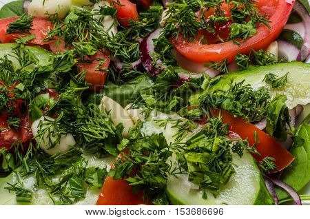 Mixed salad with fresh vegetables: tomatoes lettuce cucumbe red onion garlic dill parsleyclose up.
