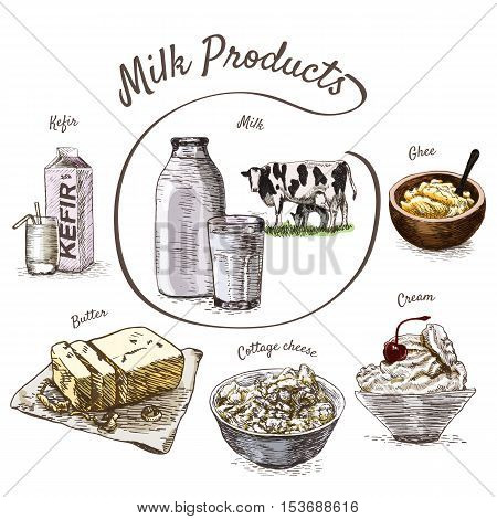 Dairy products colorful illustration. Vector illustration of breakfast.