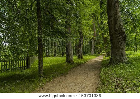 A view of the Park of Mikhailovskoye state museum-reserve Pskov region Russia.