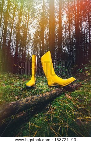 Yellow rubber boots in a Sunny forest lying on the green grass