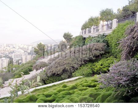 Green corner in Bahai Gardens in Haifa August 11 2003