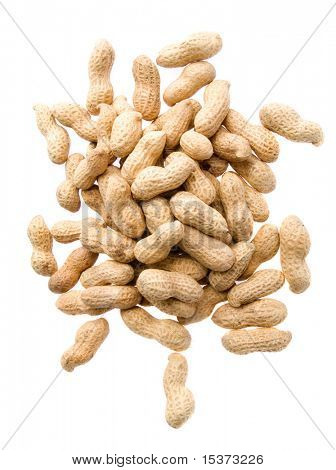 Studio di arachidi isolata on white background