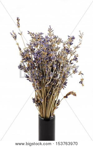 Scented lavender bunch in a black vase, isolated on white background