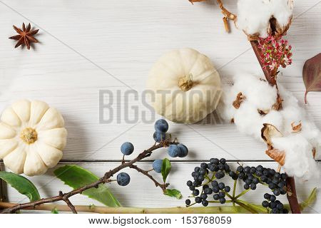 Autumn composition. Frame made of dried fall flowers, pumpkins, branches and autumn leaves, also cotton, clove and sloe. Top view on white wood, flat lay, copy space