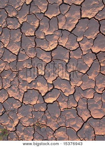 terra con struttura e graffi a causa del calore a secco